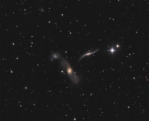 NGC 5566 und Arp 286