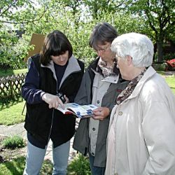 merkur-trans06.jpg