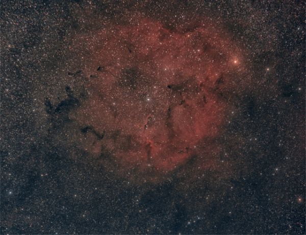 IC 1396 - offener Cluster im Sternbild Cepheus