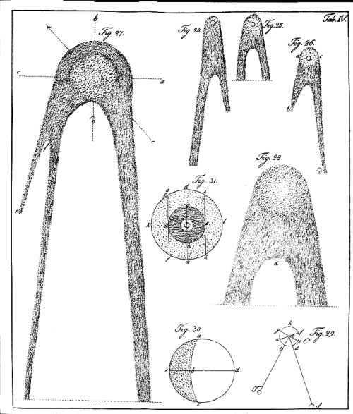 Komet