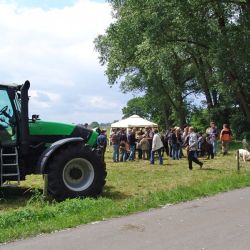 15-hof_wuerden2012.jpg