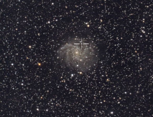 Supernova in der Feuerwerksgalaxie NGC 6946