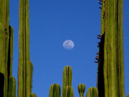 Abnehmender Mond am Südhimmel 