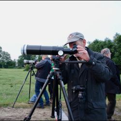 014_VT2012.jpg