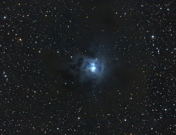 NGC 7023, der Irisnebel