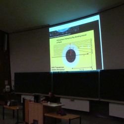 DSC08537_klein.jpg