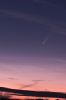 Grossheim C2020F3 NEOWISE.jpg