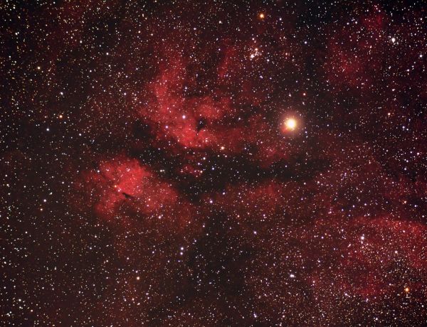 IC 1318 im Sternbild Schwan