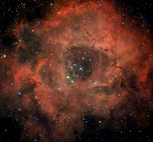 Rosettennebel mit Sternenhaufen NGC 2244