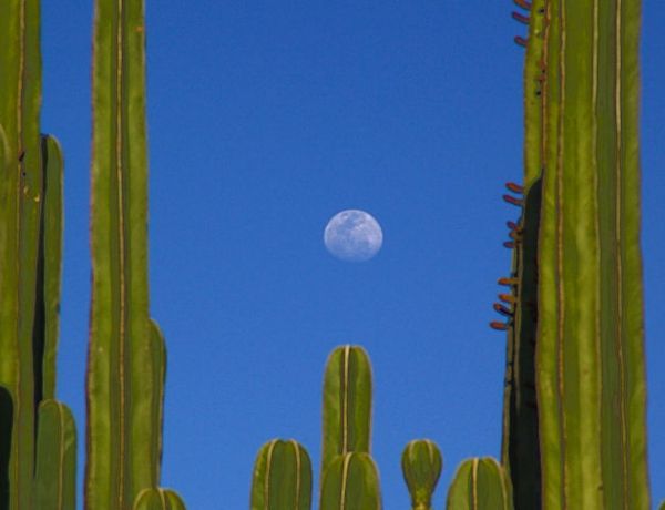 Abnehmender Mond am Südhimmel