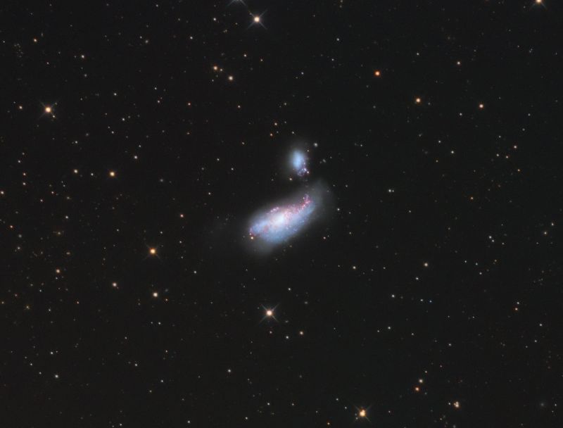 NGC 4490 und NGC 4485 im Sternbild Jagdhunde