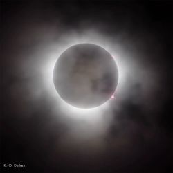 SoFi2024_16.jpg