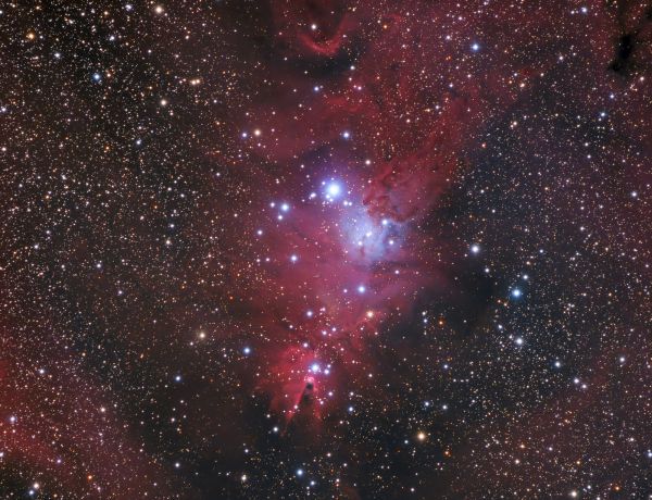 NGC 2264 – ein Weihnachtsbaum im Einhorn