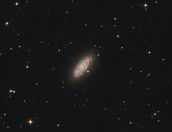 NGC 2976 im Sternbild Große Bärin