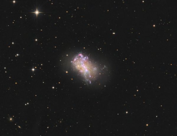 NGC 4449 - Wattebausch in den Jagdhunden