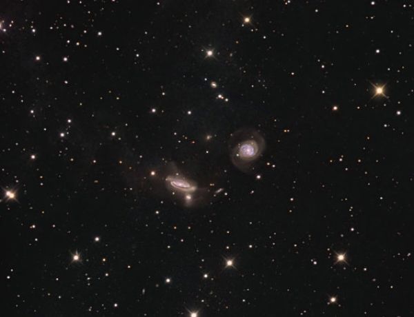 Die NGC 7771 - Gruppe