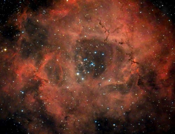 Rosettennebel mit Sternenhaufen NGC 2244