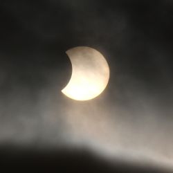 sofi11_06.jpg