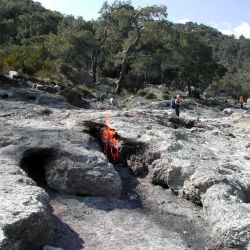 ute-05_800x600.jpg