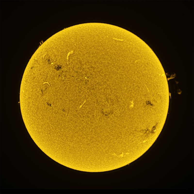 Sonne in H-Alpha: Protuberanzen und Sonnenflecken