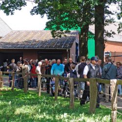 23-hof_wuerden2012.jpg