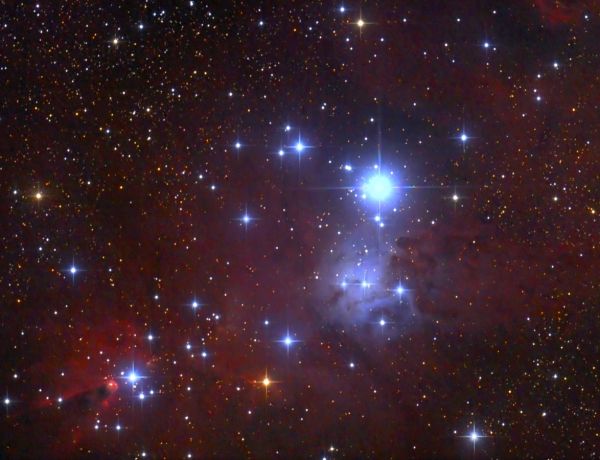 NGC 2264 im Sternbild Einhorn