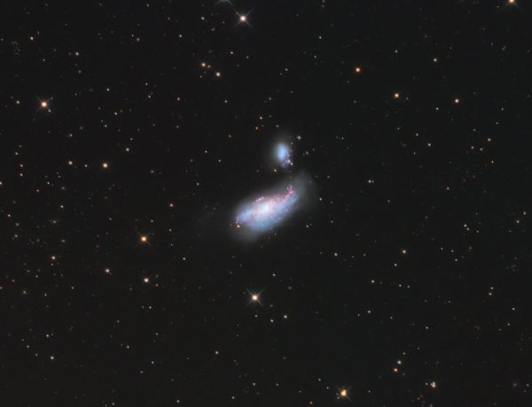 NGC 4490 und NGC 4485 im Sternbild Jagdhunde