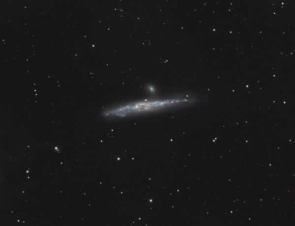 NGC 4631 im Sternbild Jagdhunde