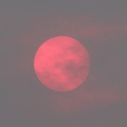 USA-SoFi102.jpg