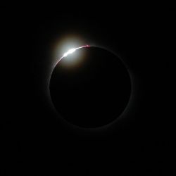 rud-04_900x1200.jpg