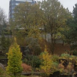 DSC09004_klein.jpg