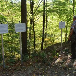 Bonn_24.jpg
