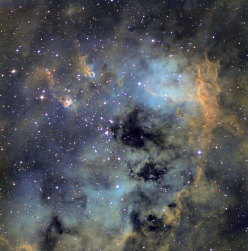 IC 410 - eine riesige H-II-Region im Fuhrmann