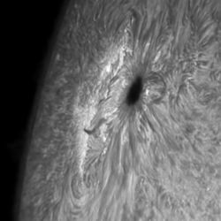 Planetentagung9c.jpg