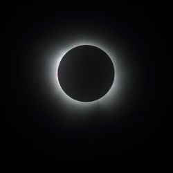SoFi2024_13.jpg