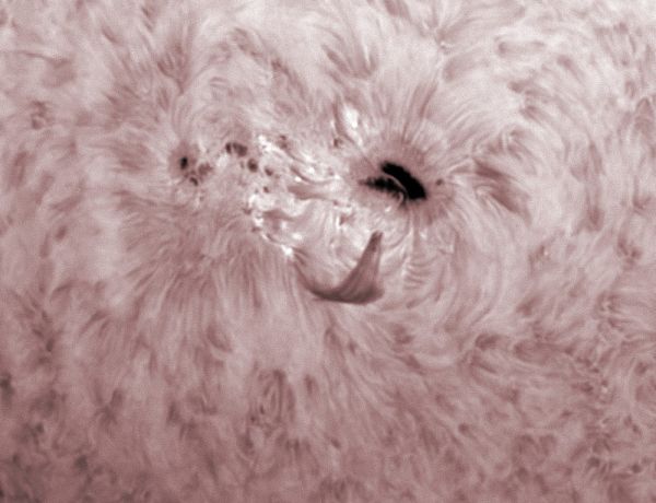 AR 12665 - Große Sonnenfleckengruppe in H-Alpha