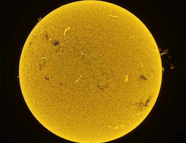 Sonne in H-Alpha: Protuberanzen und Sonnenflecken