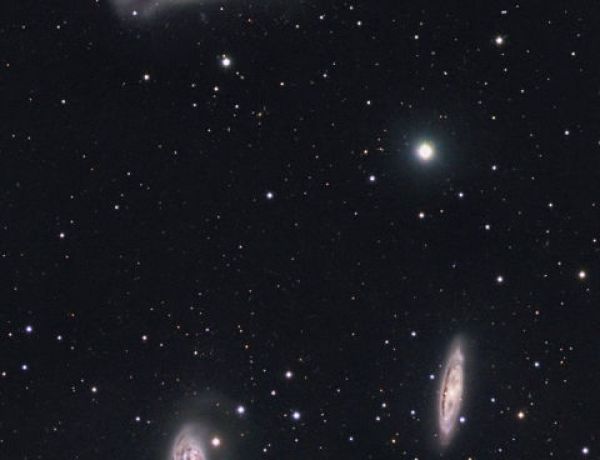 Drei Galaxien im Leo-Triplett