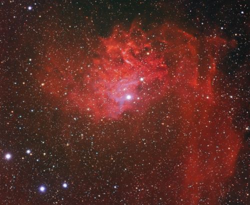 IC 405 im Fuhrmann